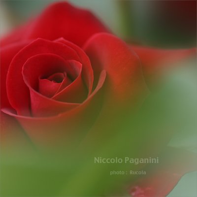Niccolo_Paganini.jpg