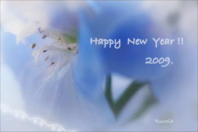 new_year_4.jpg
